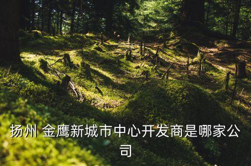 金鷹國際商貿(mào)集團(tuán)供應(yīng)商關(guān)系系統(tǒng)管理