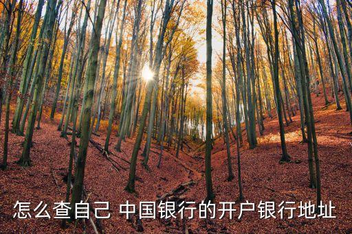 怎么查自己 中國(guó)銀行的開戶銀行地址