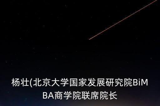 楊壯(北京大學國家發(fā)展研究院BiMBA商學院聯(lián)席院長