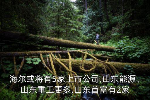 海爾或將有5家上市公司,山東能源、山東重工更多,山東首富有2家