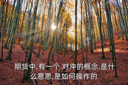  期貨中,有一個(gè) 對沖的概念,是什么意思,是如何操作的