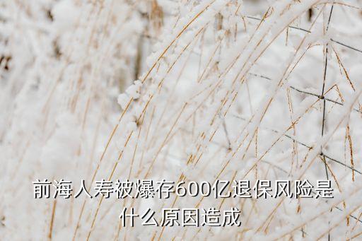  前海人壽被爆存600億退保風(fēng)險是什么原因造成