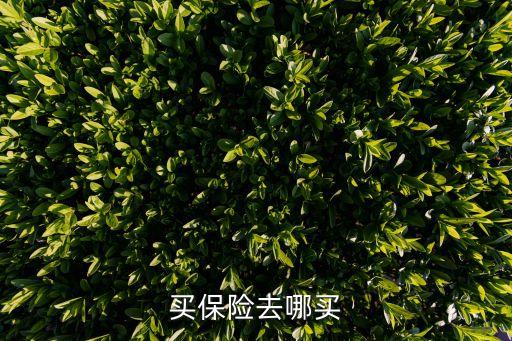 買(mǎi)保險(xiǎn)去哪買(mǎi)