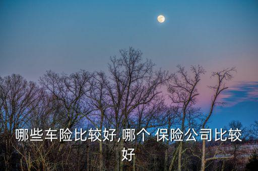 哪些車(chē)險(xiǎn)比較好,哪個(gè) 保險(xiǎn)公司比較好
