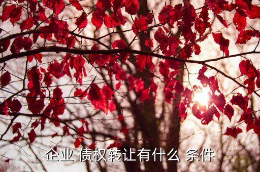 企業(yè) 債權轉讓有什么 條件