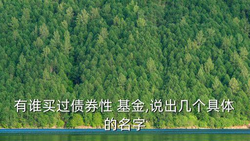 有誰(shuí)買過(guò)債券性 基金,說(shuō)出幾個(gè)具體的名字