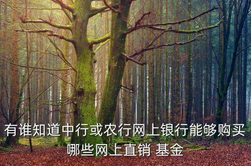 有誰(shuí)知道中行或農(nóng)行網(wǎng)上銀行能夠購(gòu)買哪些網(wǎng)上直銷 基金