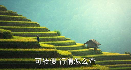 可轉債 行情怎么查