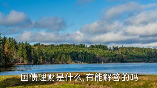  國債理財是什么,有能解答的嗎