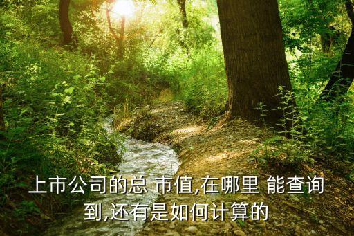 上市公司的總 市值,在哪里 能查詢(xún)到,還有是如何計(jì)算的