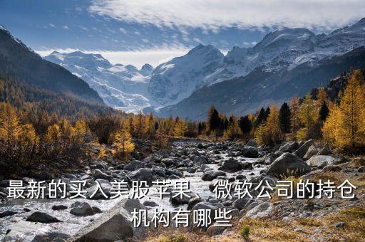 最新的買入美股蘋果、微軟公司的持倉機(jī)構(gòu)有哪些