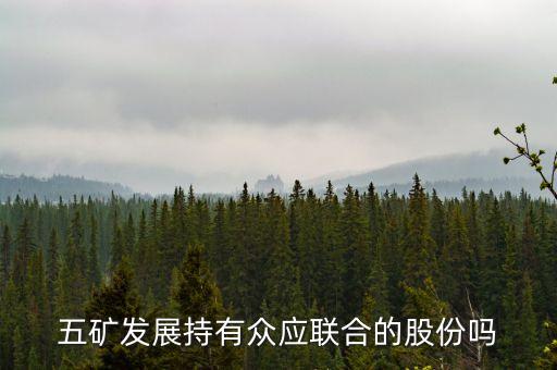 五礦發(fā)展持有眾應聯(lián)合的股份嗎