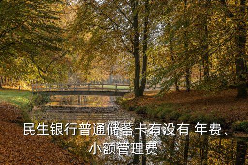  民生銀行普通儲(chǔ)蓄卡有沒(méi)有 年費(fèi)、小額管理費(fèi)