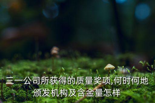 三一公司所獲得的質量獎項,何時何地頒發(fā)機構及含金量怎樣