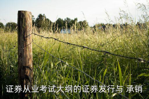 首次公開發(fā)行股票承銷業(yè)務(wù)規(guī)范》課后測(cè)驗(yàn),注冊(cè)制下首次公開發(fā)行股票承銷規(guī)范