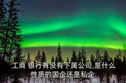  工商 銀行有沒(méi)有下屬公司,是什么性質(zhì)的國(guó)企還是私企