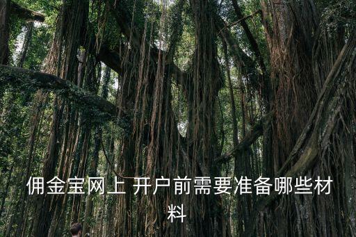 傭金寶股票開(kāi)戶(hù)后多久可以登錄