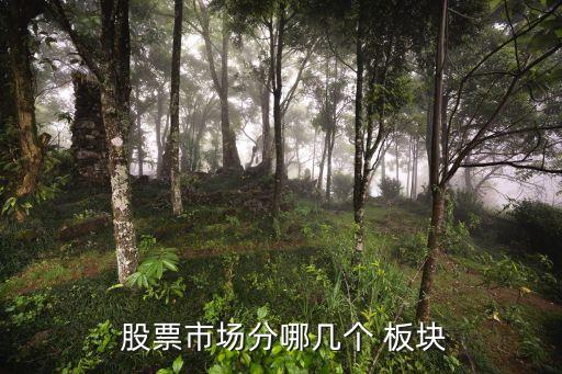  股票市場分哪幾個(gè) 板塊
