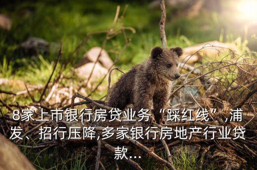 8家上市銀行房貸業(yè)務(wù)“踩紅線(xiàn)”,浦發(fā)、招行壓降,多家銀行房地產(chǎn)行業(yè)貸款...