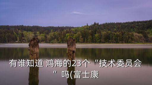 鴻海集團(tuán)股東,鴻?？萍技瘓F(tuán)股東