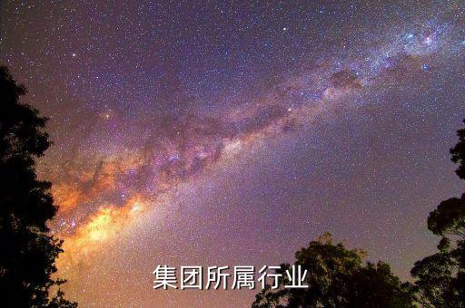 聯想集團所屬行業(yè)
