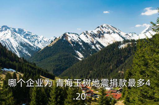 哪個(gè)企業(yè)為 青海玉樹地震捐款最多4.20