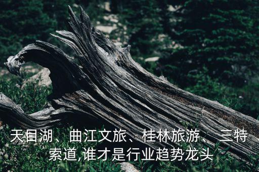 天目湖、曲江文旅、桂林旅游、 三特 索道,誰才是行業(yè)趨勢(shì)龍頭