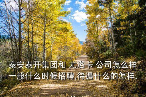 泰安泰開集團(tuán)和 尤洛卡 公司怎么樣一般什么時(shí)候招聘,待遇什么的怎樣...
