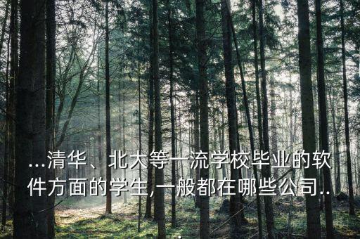 ...清華、北大等一流學(xué)校畢業(yè)的軟件方面的學(xué)生,一般都在哪些公司...