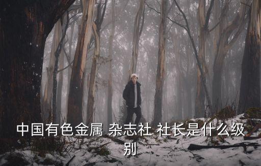 中國產(chǎn)經(jīng)雜志社社長(zhǎng),新產(chǎn)經(jīng)雜志社