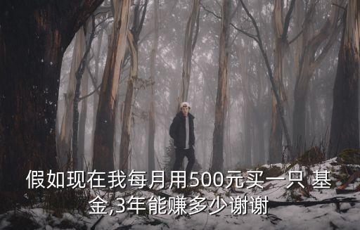 假如現(xiàn)在我每月用500元買(mǎi)一只 基金,3年能賺多少謝謝