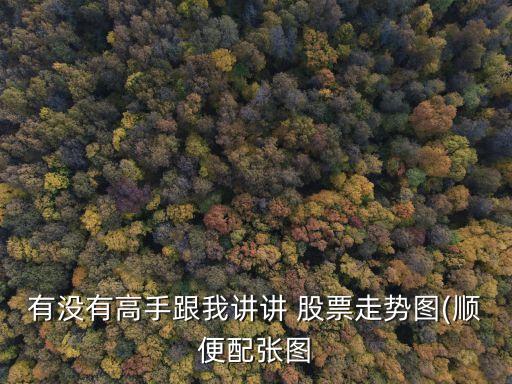 有沒有高手跟我講講 股票走勢(shì)圖(順便配張圖