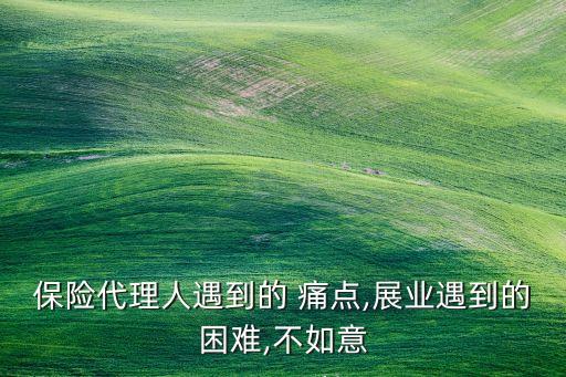 保險公司客戶服務(wù)痛點(diǎn)調(diào)研