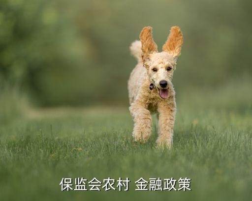 保監(jiān)會(huì)農(nóng)村 金融政策