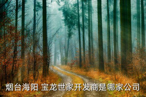 煙臺(tái)海陽(yáng) 寶龍世家開發(fā)商是哪家公司