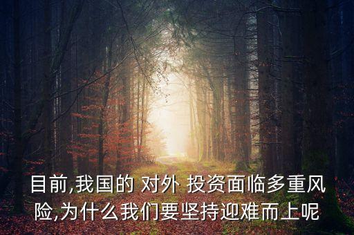 目前,我國的 對(duì)外 投資面臨多重風(fēng)險(xiǎn),為什么我們要堅(jiān)持迎難而上呢