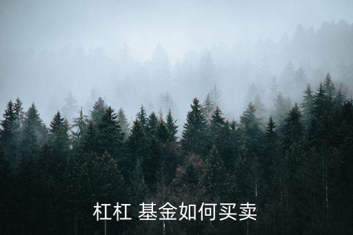 杠杠 基金如何買(mǎi)賣(mài)
