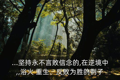...堅持永不言敗信念的,在逆境中,,浴火 重生、反敗為勝的例子