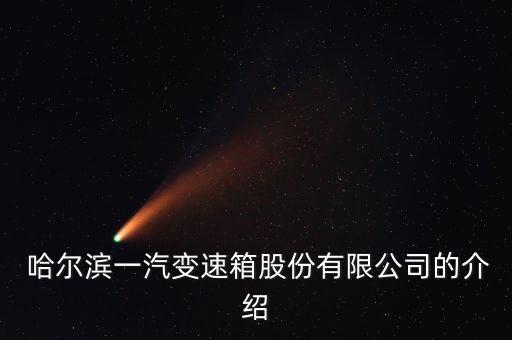 哈爾濱各個汽車集團(tuán)行業(yè)分析