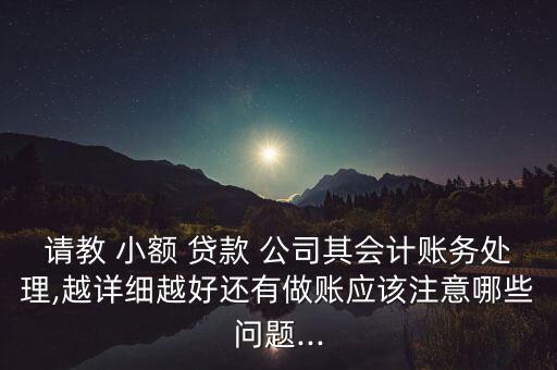 請(qǐng)教 小額 貸款 公司其會(huì)計(jì)賬務(wù)處理,越詳細(xì)越好還有做賬應(yīng)該注意哪些問題...