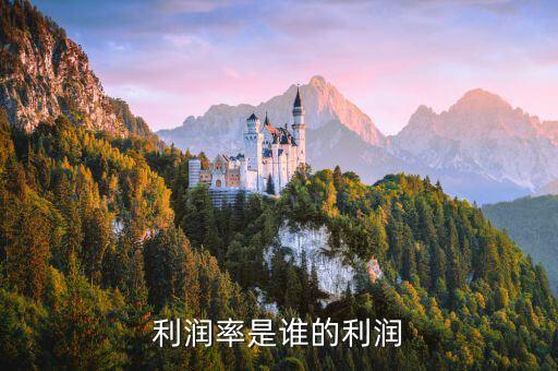貿易公司的凈利潤,凈利潤一個多億的貿易公司