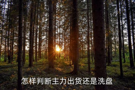 怎樣判斷主力出貨還是洗盤(pán)