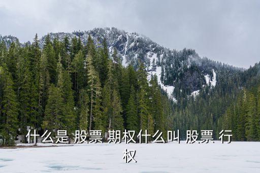 股票期權(quán)的行權(quán)價(jià)格是什么意思,公司給了10萬期權(quán)有用嗎
