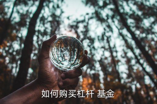 如何購(gòu)買(mǎi)杠桿 基金