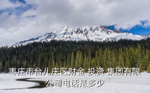 棗莊市臺(tái)兒莊區(qū)財(cái)金 投資 集團(tuán)有限公司電話是多少