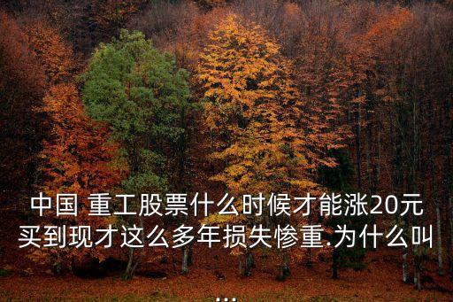 中國(guó) 重工股票什么時(shí)候才能漲20元買(mǎi)到現(xiàn)才這么多年損失慘重.為什么叫...