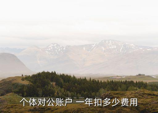個(gè)體對(duì)公賬戶(hù) 一年扣多少費(fèi)用