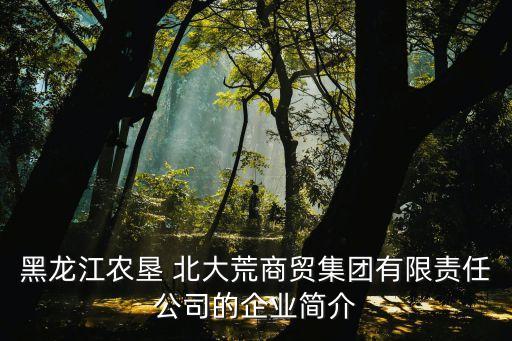 黑龍江農墾 北大荒商貿集團有限責任公司的企業(yè)簡介