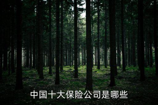中國十大保險(xiǎn)公司是哪些