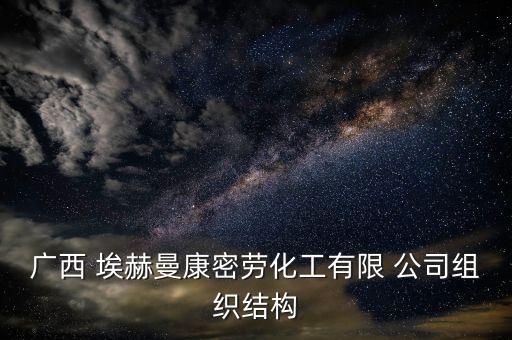 法國埃赫曼鎳業(yè)集團中國公司